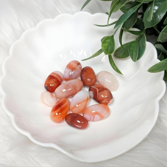 Carnelian Tumble stones